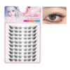 3D Cat Eye Natural Rush Cartoon Fox Cluster DIY Lash
