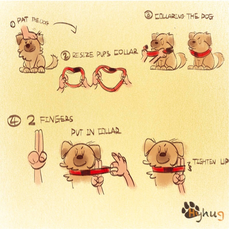 Hyhug Design Classic Basic Nylon Dog Collar, Can Install Dog