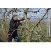 Felco Pruning Saw (F 611) - Classic Tree Pull Stroke