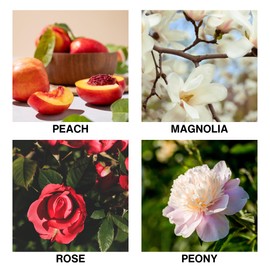 De Lumique Reed Diffuser Oil – Flora D’Amour Scent with Rose, Peony, Magnolia & Peach – Long Lasting Aroma Diffusers for Home, Bedroom, Bathroom & Office – 50ml