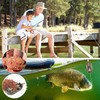 Carp Fishing Feeders Method Feeder with Fishing Weights 20g-60g Quick