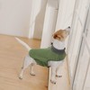 Queenmore Dog Sweater, Soft Fleece Vest Pullover Dog Jacket with