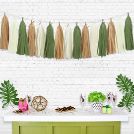 Aonor Sage Green Tassel Garland for Woodland Baby Shower Decorations Retro Green Party Safari Birthday Decorations 15PCS