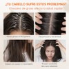 QUARXERY Champú Control de Aceite y Anticaspa Sauvage Freedom Shampoo