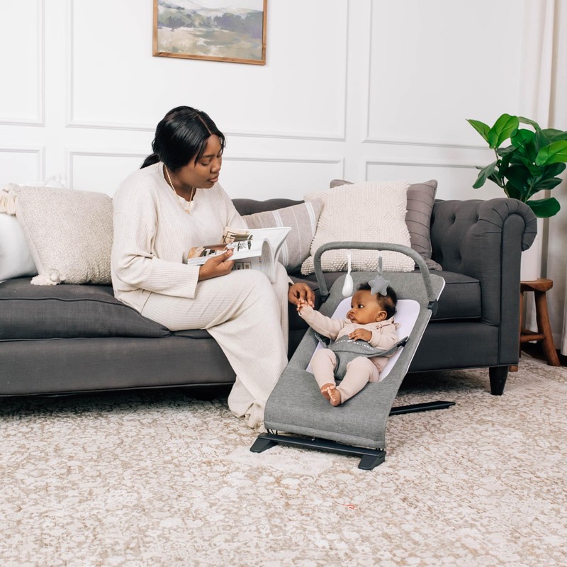 Baby Delight Alpine Deluxe Portable Bouncer | Infant | 0