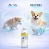 Electrolitos Orales Hydrapet Para Perros Vainilla 450mL Medical Solutions
