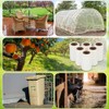 18 Rolls Spotted Lanternfly Traps Ant Insect Barrier, 30 ft