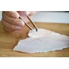 Styleneo Fish Boning Cutter, Made in Japan, Stainless Steel, Tsuban
