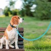 PUPTECK Reflective Dog Leash with Comfortable Padded Handle Durable Nylon