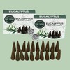 TRUMIRI Eucalyptus Incense Cones - Total 20 Cone Incense -