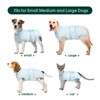 Kuoser Recovery Suit for Dogs and Cats After Surgery, Pet