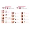 Rachel Wine Mineral Powder Eye Shadow [Coffee Brown S29] 0.04