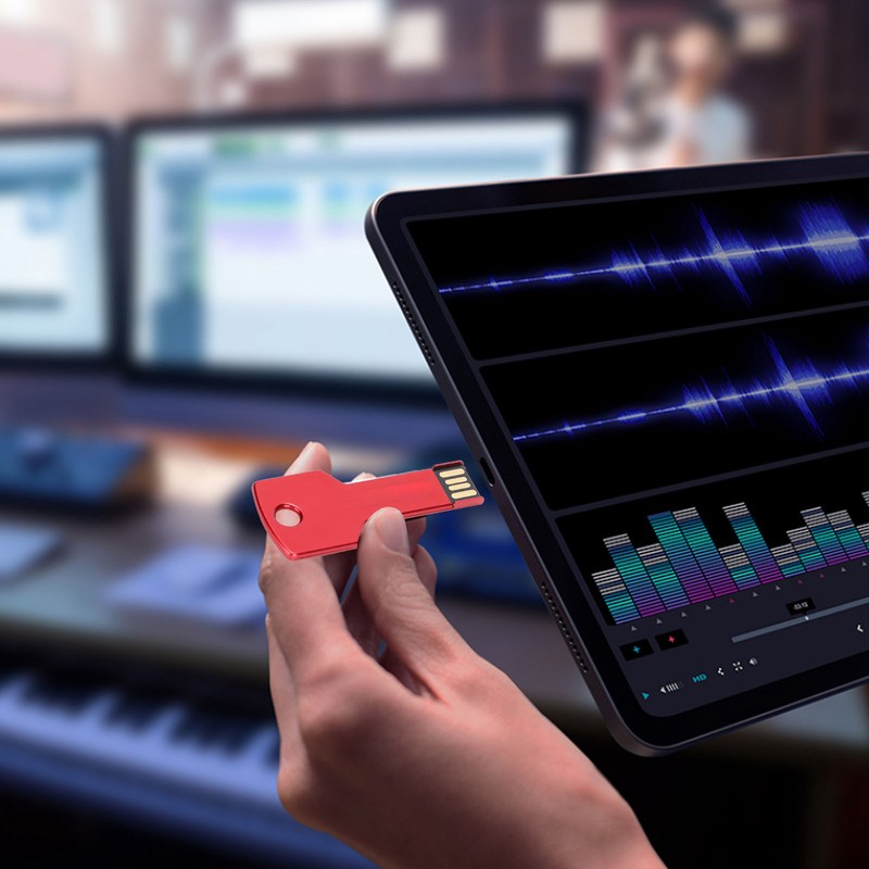 Hsthe Sea Memory Stick CW10084 KeyShaped U Disk Portable Metal