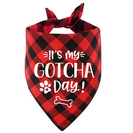 NTKIO Funny Blue Plaid Cotton Pet Dog Bandana Scarf, It's My Gotcha Day, Dog Birthday Party Wedding Gender Reveal Photo Accessories for Pet Dog Lovers Gift, Medium