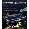 5 Gallon Fish Tank Aquarium Kit with Filter, LED Light