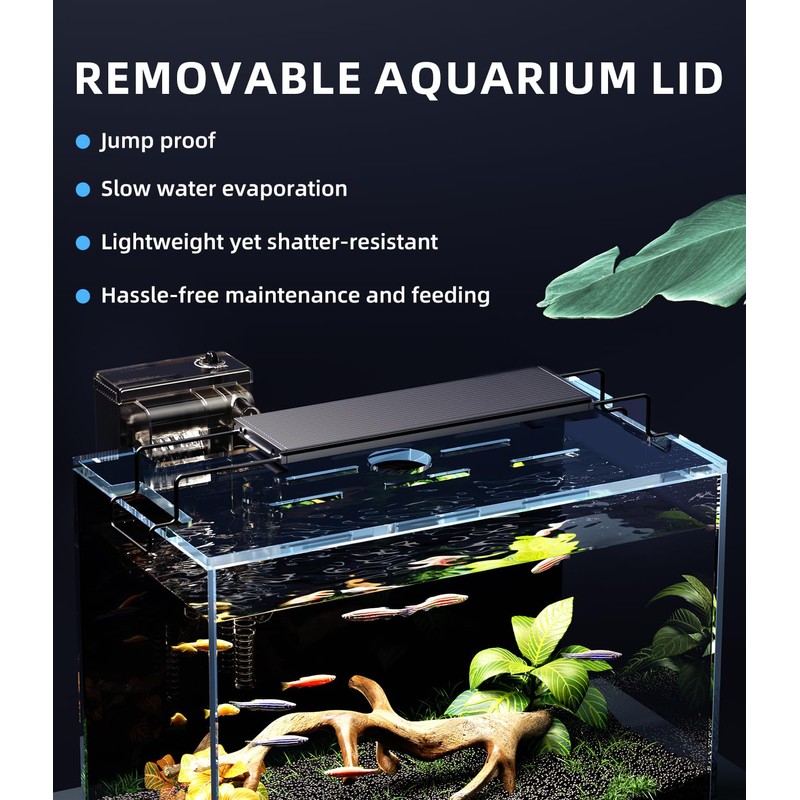 5 Gallon Fish Tank Aquarium Kit with Filter, LED Light