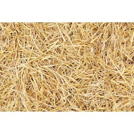Unbranded Straw Bedding For Rabbits, Guinea Pig, Chinchilla, Goat, Horse MANY SIZES - Bag ≈ 1/2Lb