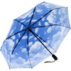 DUA GAL Clear Skies Folding Umbrella Auto Open Close Fiberglass