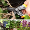 GRÜNTEK Secateurs Garden Pruning Shears Phoenix 20 cm