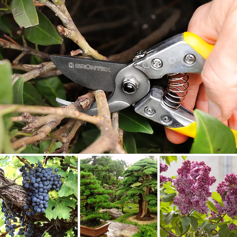 GRÜNTEK Secateurs Garden Pruning Shears Phoenix 20 cm