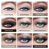 9Pcs Household Liquid Eye Shadow Set Makeup Shine Finish Matte