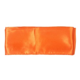 Tiger Claw Kung Fu (Kungfu) Orange Sash