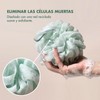 Ecotools Delicate Bath Sponge, Green, White and Gray; Rich Lather,