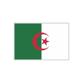 Womaha 30 Sheets Temporary Algeria Flag Tattoos for Kids Adults Fans Fake Face Tattoo Stickers