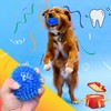 ECO-FUSED 3-Pack Squeaky Dog Toy Balls - Spiky Chew Toys