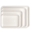 Practicon Ecosply Instrument Tray, Biodegradable, X-Small, Pack of 250