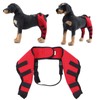 GLOGLOW 1 Pair Dog Hind Leg Braces, Dog Rear Leg