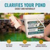 Pond Clear Water Treatment - 16 Pack for 8 Months