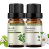 GREENSLEEVES GREENSLEEVES Essential Oil - 10ml (Neroli + Gardenia)