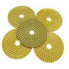 10 x 4 Inch Wet Diamond Polishing Discs with Plate