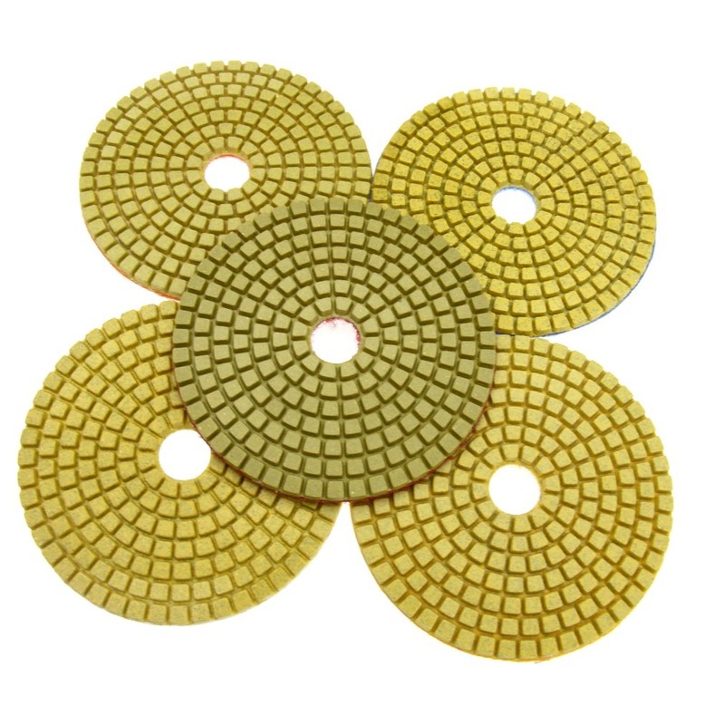 10 x 4 Inch Wet Diamond Polishing Discs with Plate