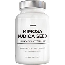 Amen Amen Organic Mimosa Pudica Seeds Capsules, 2 Month Supply, Vegan Mimosa Pudica Seed Plant Supplement - Mimosine Sensitive Plant Pills - Fat Soluble Dietary Supplement - Non-GMO & Vegan - 120 Capsules