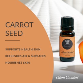 Edens Garden Carrot Seed Essential Oil, 100% Pure Therapeutic Grade (Undiluted Natural/Homeopathic Aromatherapy Scented Essential Oil Singles) 10 ml