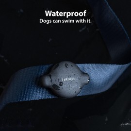 Elevation Lab TagVault™ Compact AirTag Dog Collar Mount (4 Pack) - IP68 Waterproof, Doesn't Dangle, Fits All Width Collars