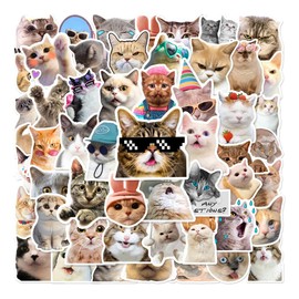 Gatos Cool Memes Cool Humor Diversión Cute 50 Calcomanías Stickers Pvc Vs Agua Stickers Variados Sin Repetir Impermeables Removible Diseños Únicos Para Electrónicos, Laptops, Termos, Celulares
