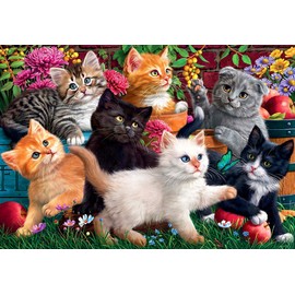 Anatolian Puzzle - Kittens at Play, 260 Piece Jigsaw Puzzle, 3327 (ANA3327)