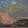 Wenchen Qin: Violin Concerto, The Border of the Mountains