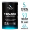Valara Creatina Monohidratada de Alta Pureza sin Sabor | 450g