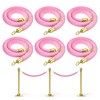 PATIKIL 4 Feet Pink Velvet Stanchion Rope, 6 Pack Crowd