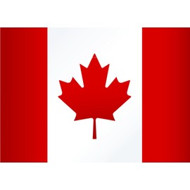 Canadian Flag Disability Hindrance Obstacle Impaired Hinder Impede Hamper Holiday Gift Decorating Ideas Girl Boy Bedroom Wall Decal Sticker - Size: 14 Inch x 20 Inch