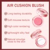 Powder Matte Blush Cheeks Face Makeup for Women With Mirror