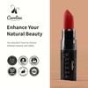 Carolina COSMETICS - Plant-Based Moisturizing Lipstick - The Power of