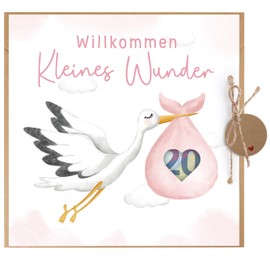 BETESSIN Welcome Home Baby Gifts - Welcome Home Card for Birth Girl - Greeting Card with Stork Motif - Birth Card with Envelope - Money Gifts Packaging for Birth & Baby Shower