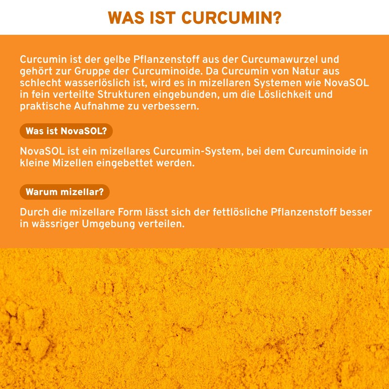 QIDOSHA® Novasol® Curcumin Liquid, 120 Capsules in Pharmacist Glass, 500
