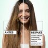 Garnier Fructis Liso Diamante, 100H Brillo Diamante Liso Anti-Frizz