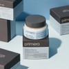 primera Alpine Berry Watery Cream 50mL - Main Item Only